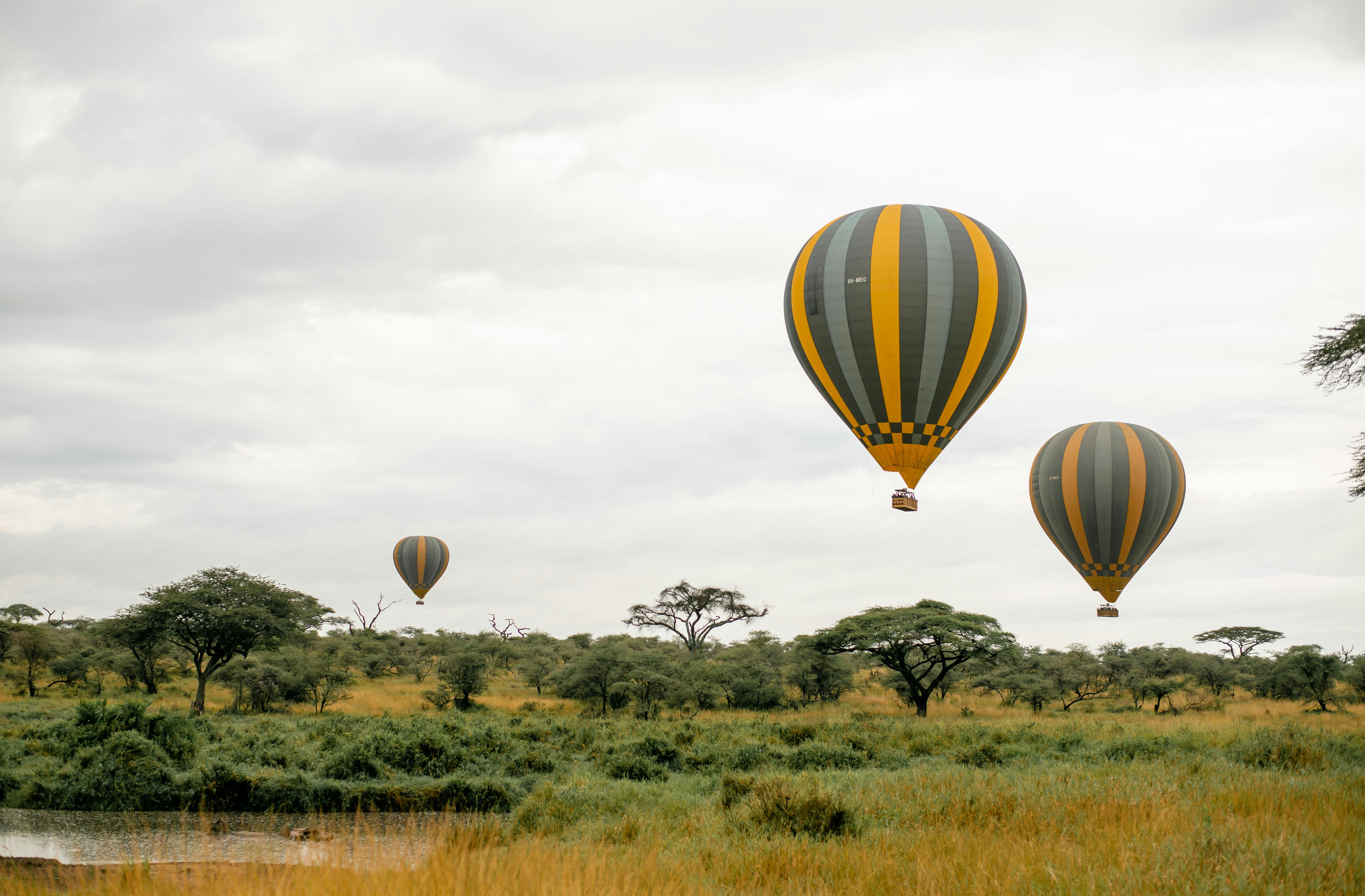 Eco Luxury Safari in Tanzania: Travel Responsibly in 2026