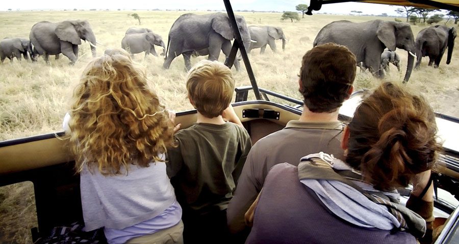 Family Safari in Tanzania: Top Tips for an Unforgettable Trip