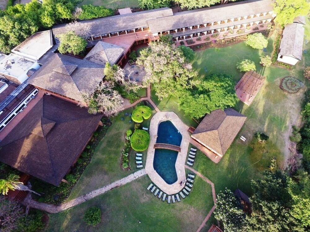 Luxury Safari Tanzania: Best Lodges and Private Game Drives