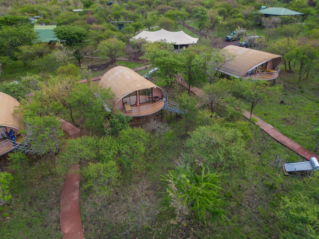 Camping Safari vs Lodge Safari: Which Tanzania Safari Experience Is Right for You?