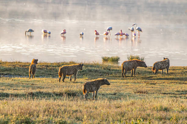 Best Holiday Destinations in October and November