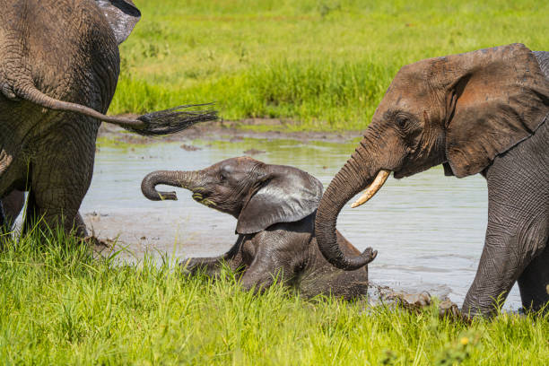 October&rsquo;s Best Places to Visit: Explore Tanzania&rsquo;s Northern Circuit and Zanzibar Beaches