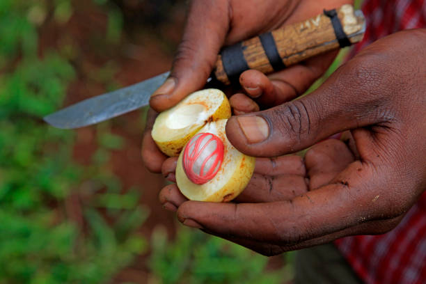 October&rsquo;s Best Places to Visit: Explore Tanzania&rsquo;s Northern Circuit and Zanzibar Beaches