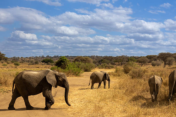 Top Holiday Destinations October