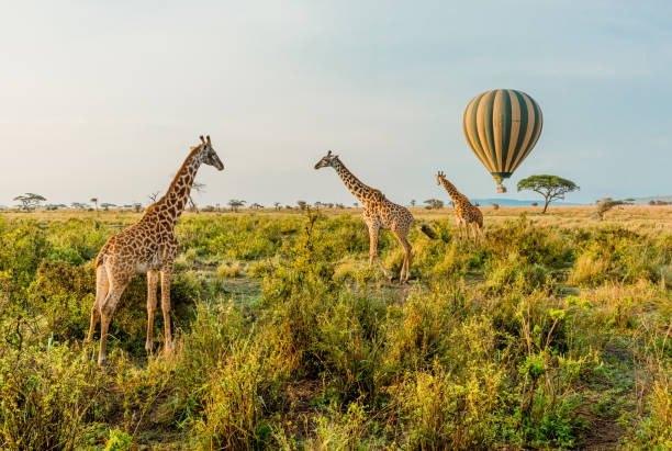 Best countries to go in october