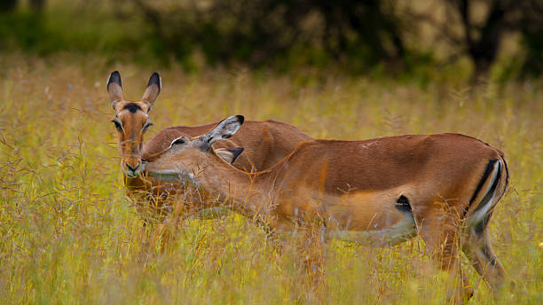 Best place to travel in october for warm weather