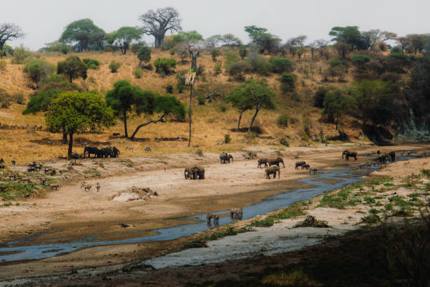 Best place to travel in october for warm weather