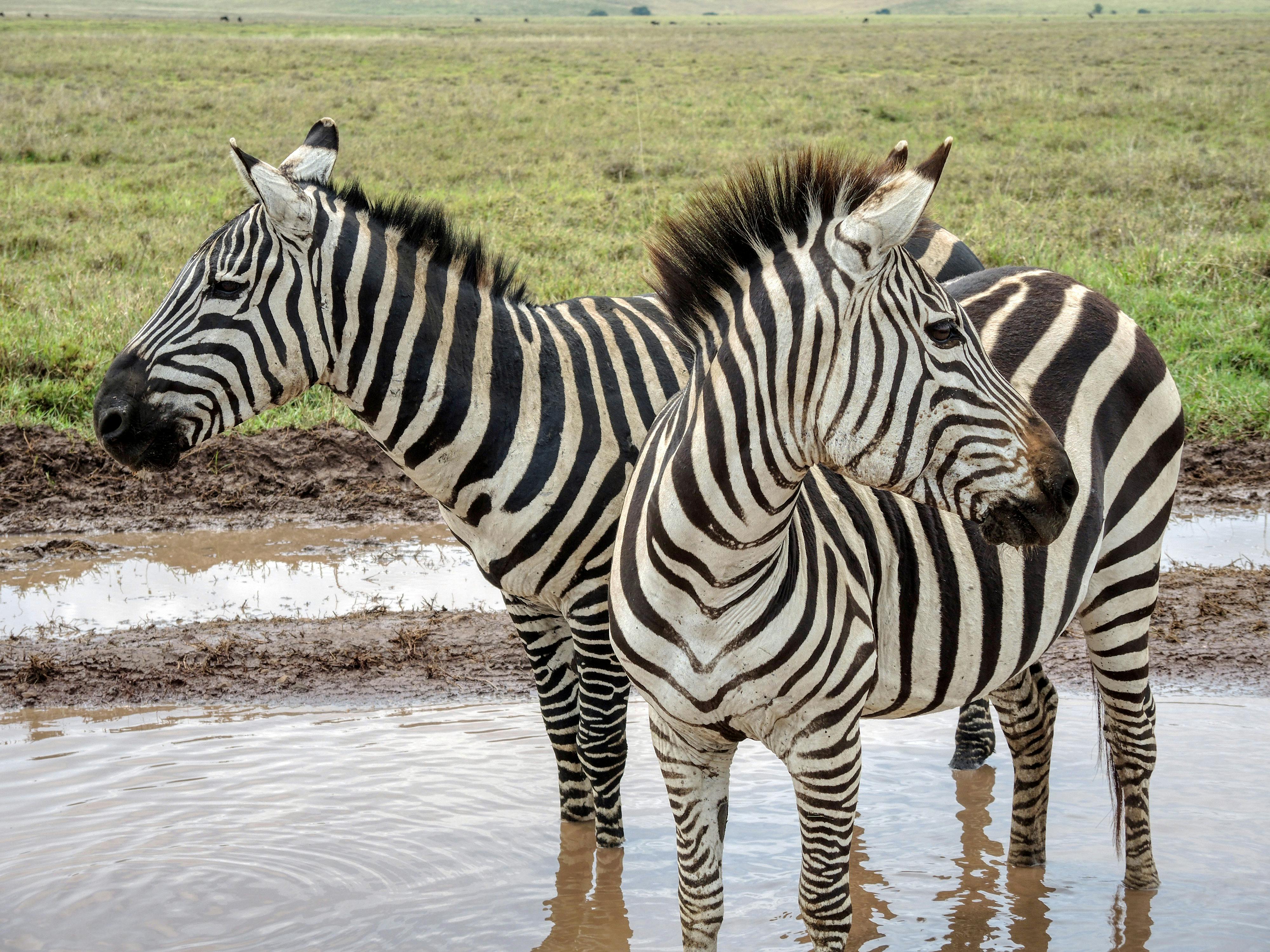 October vacation ideas