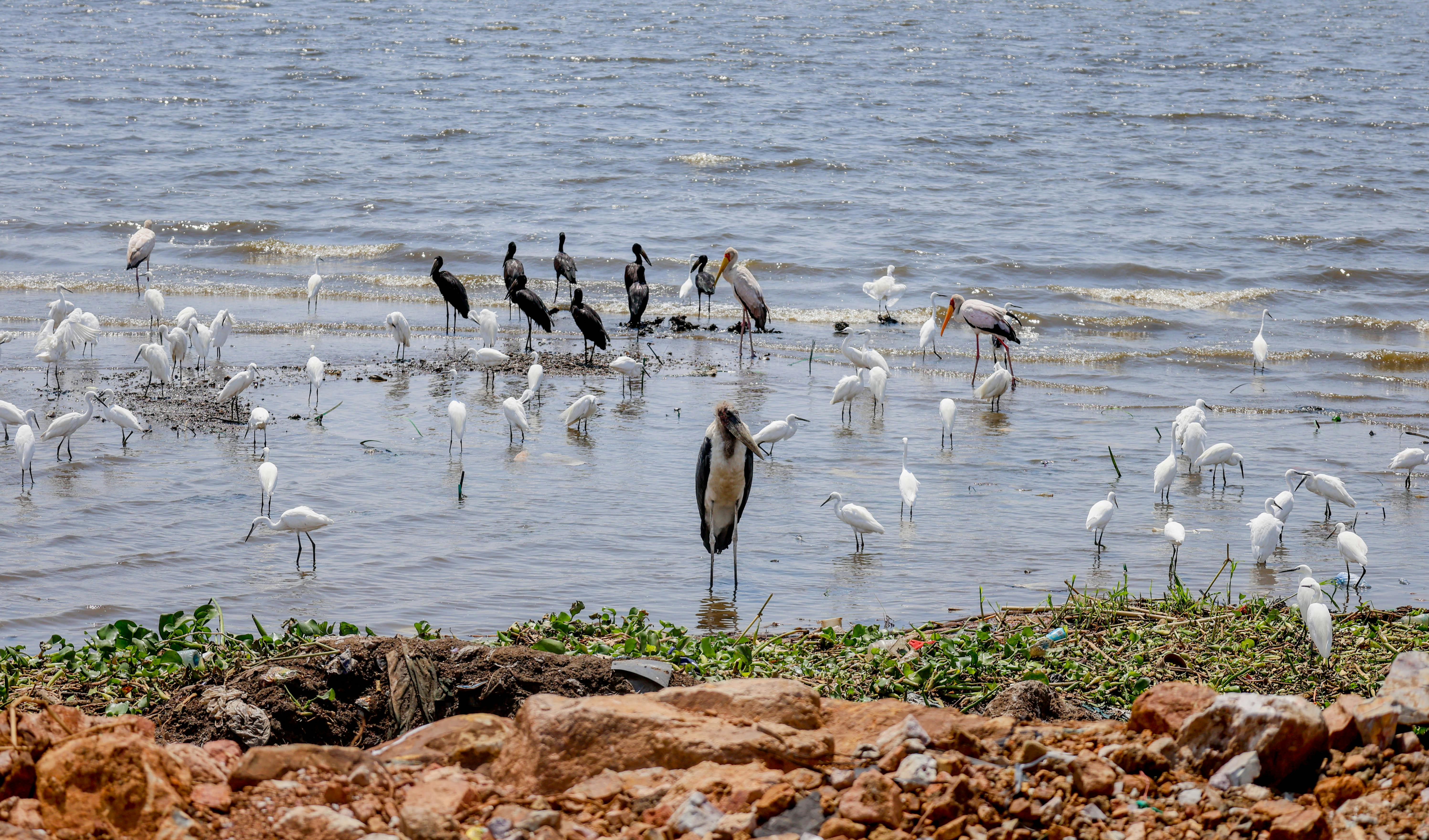 Best Destinations in October