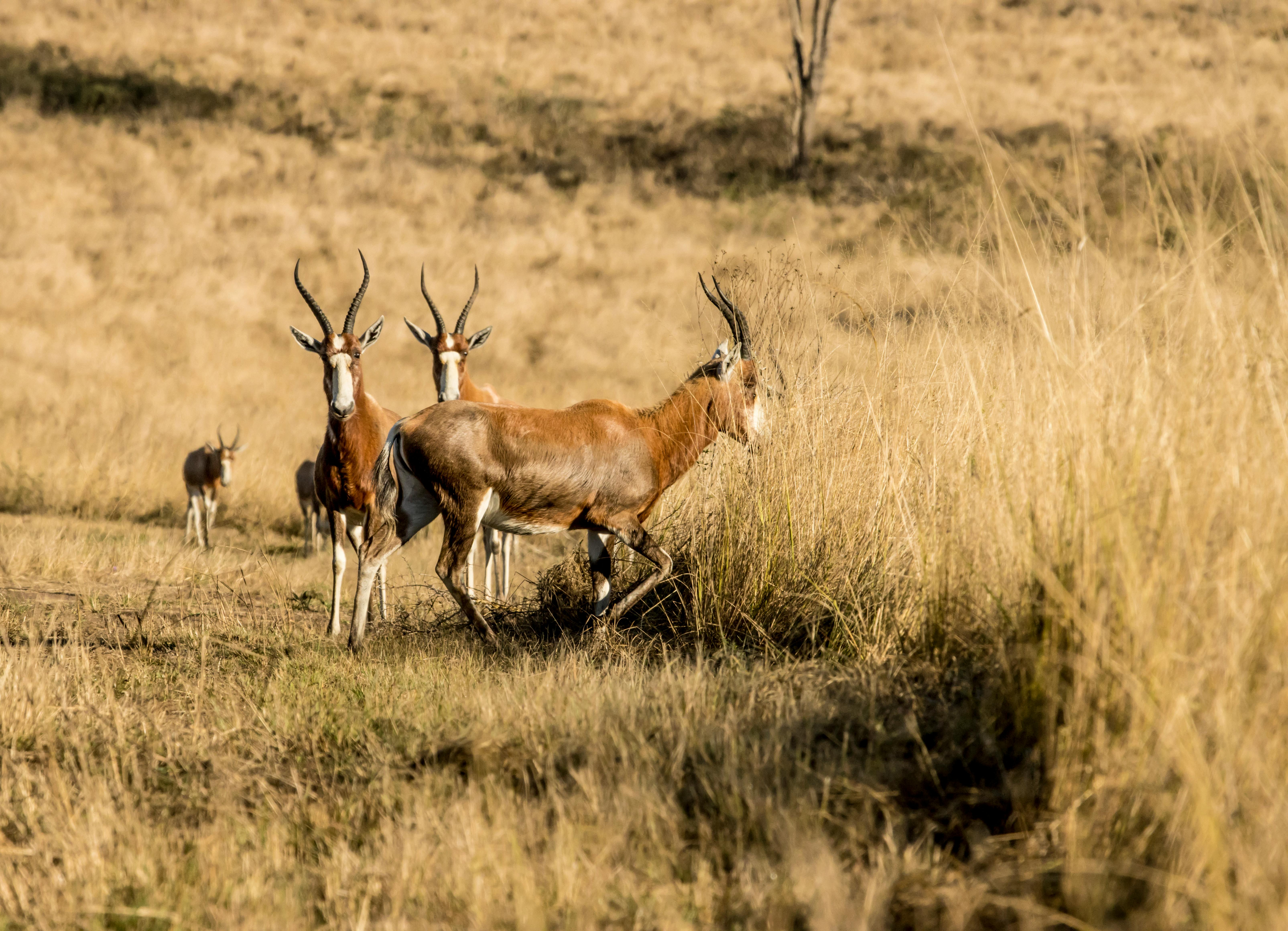 Best Places to Visit in October