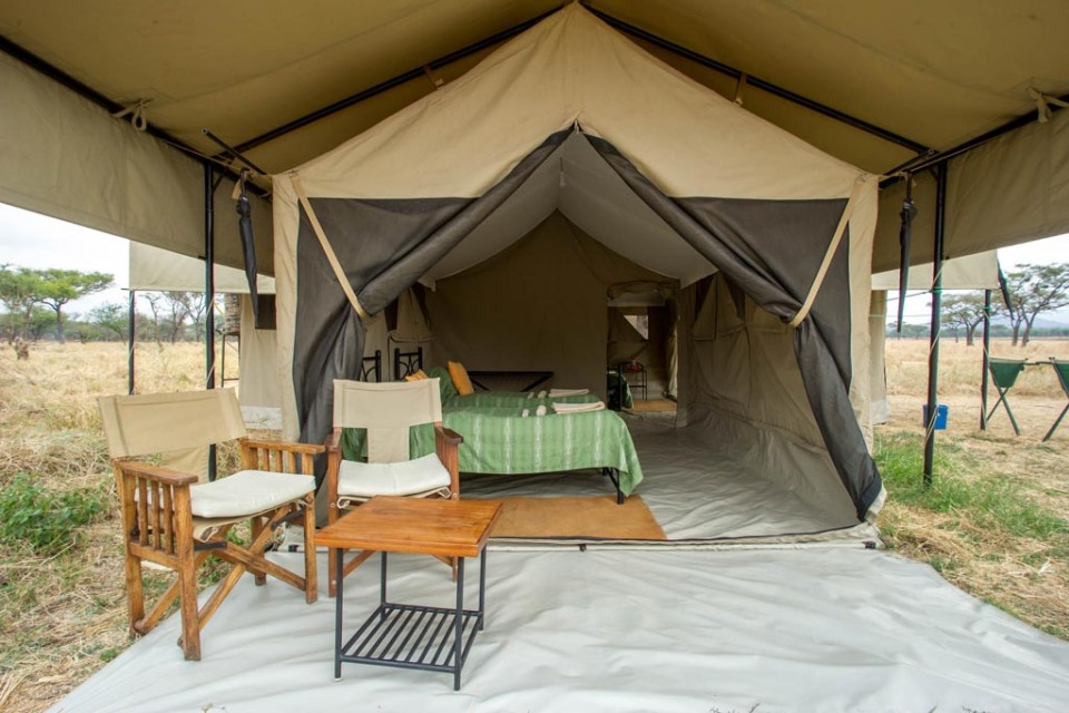 How to Plan a Safari in Tanzania