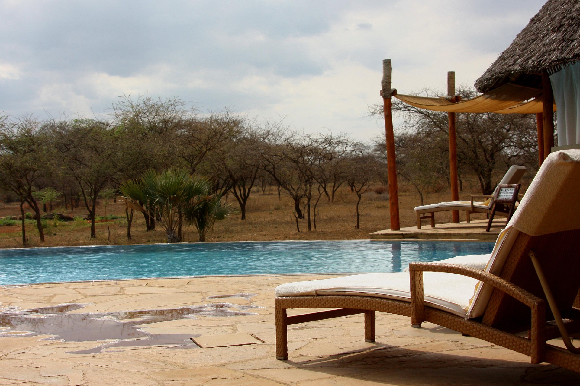 5 Star Safari Experience in Tanzania