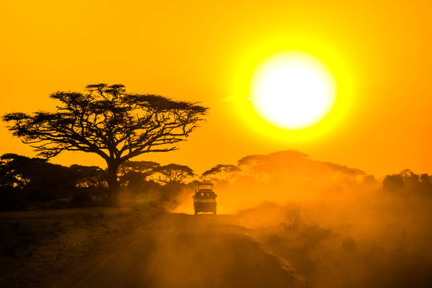 5 Star Safari Experience in Tanzania