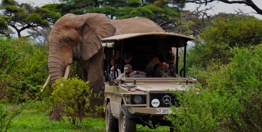 Where to See Elephants in Northern Tanzania