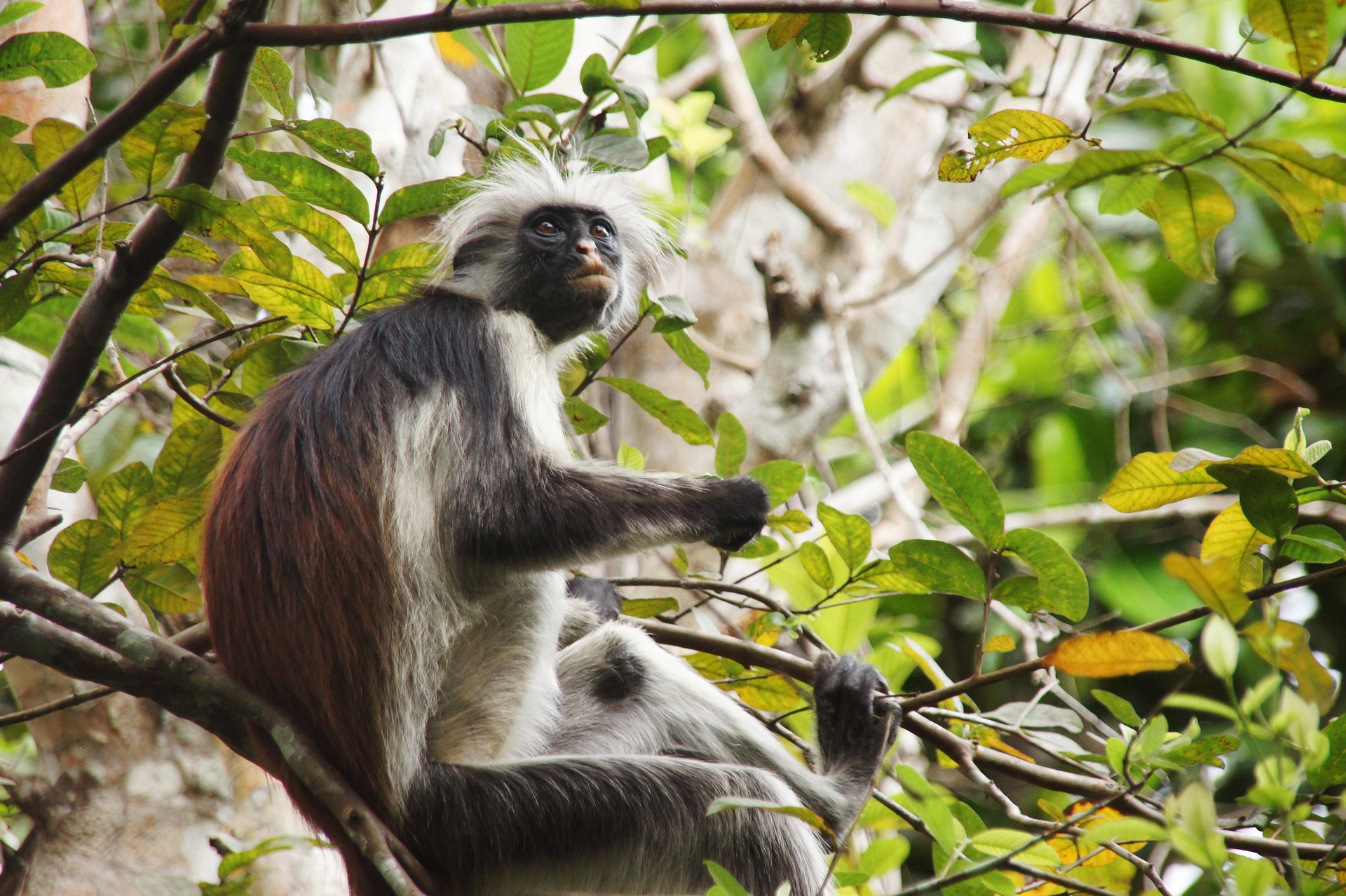 10 Best Things to Do in Zanzibar