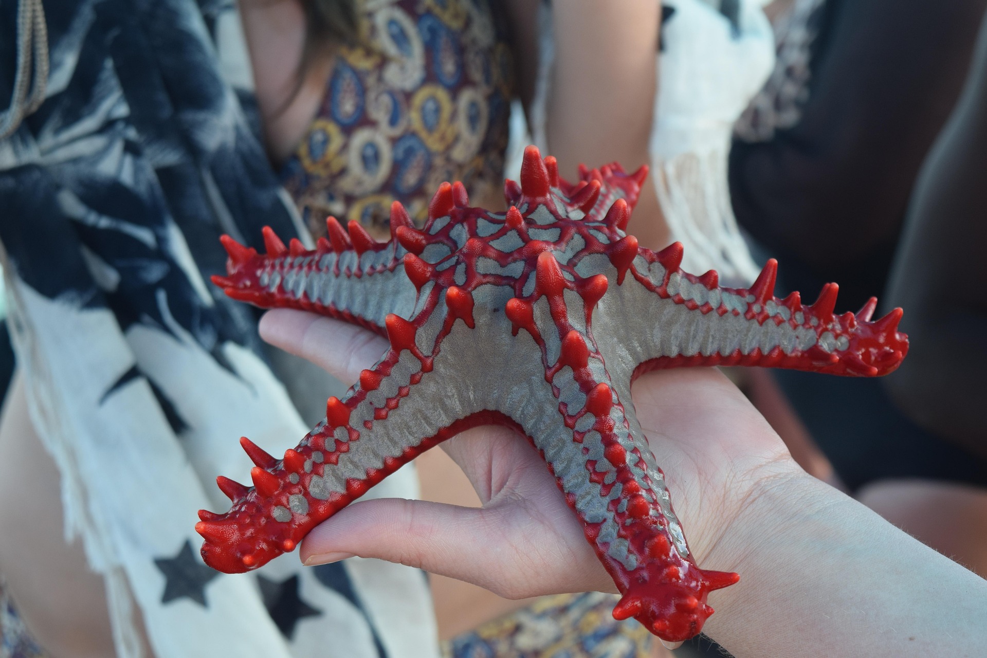10 Best Things to Do in Zanzibar