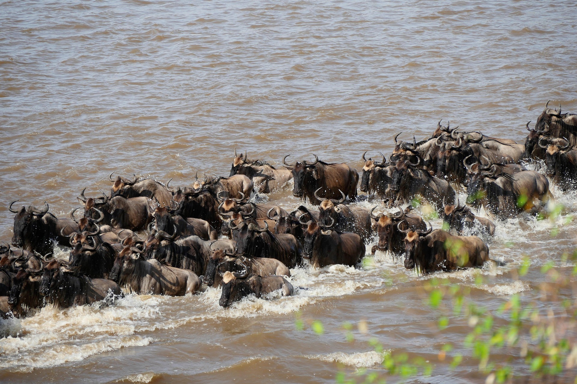 Tanzania Safari in June&ndash;October Guide