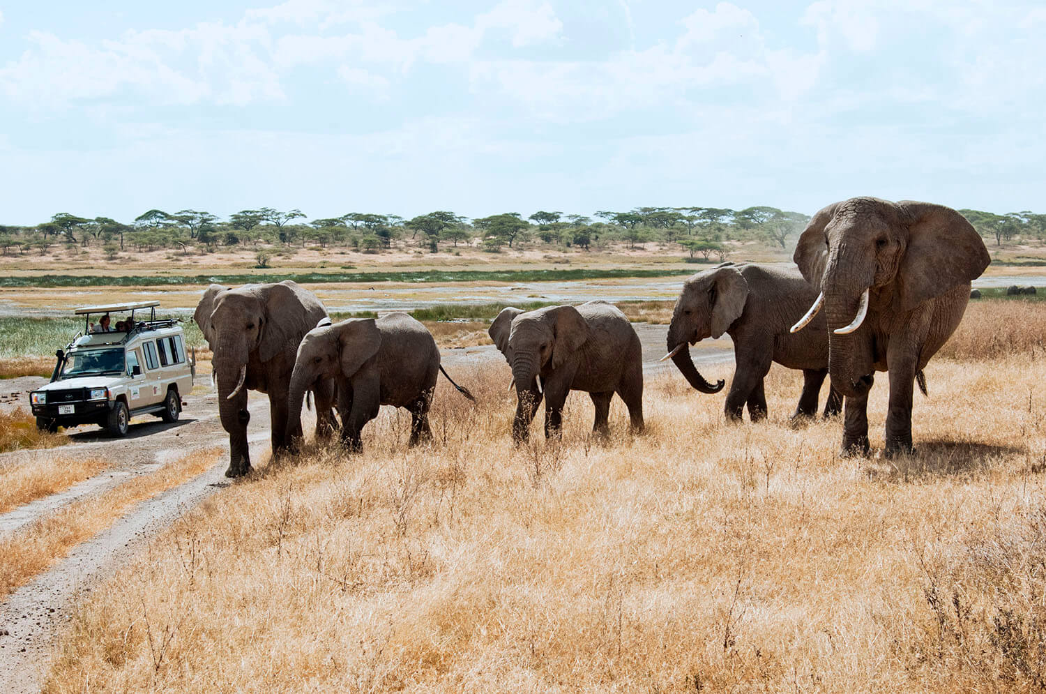 Sustainable Tourism in Africa: Our Commitment to Responsible Travel
