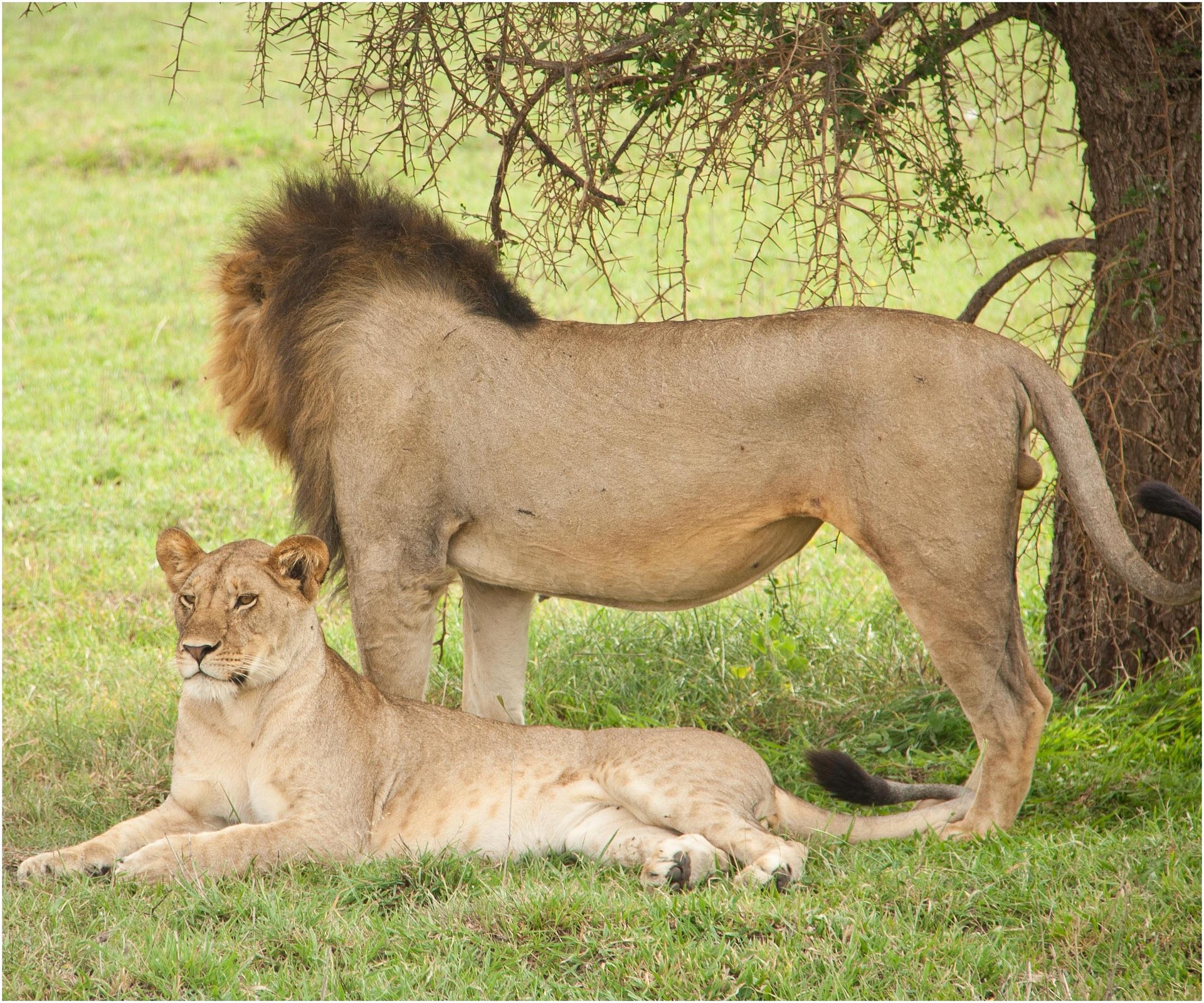 The Secret Season: Why May is the Best Kept Secret for a Serengeti Safari