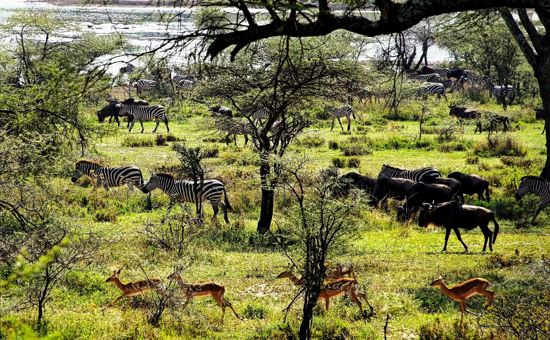 The Secret Season: Why May is the Best Kept Secret for a Serengeti Safari
