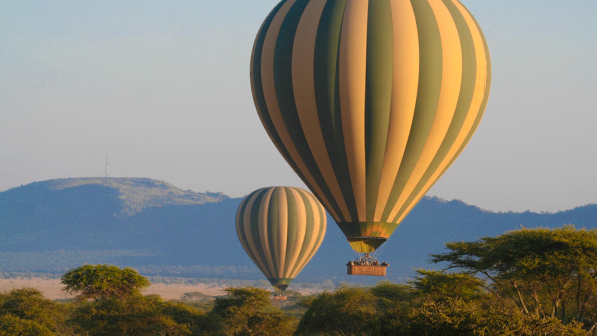 Serengeti in May