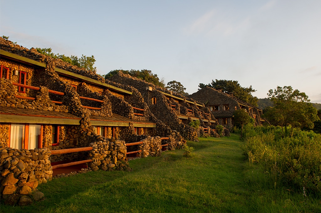 Safari on a Budget: How We Help You Enjoy 5 Star Luxury Lodges for 3 Star Prices This May