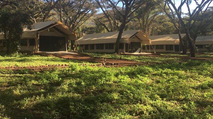 Photographer’s Paradise: Why the “Green Season” Light is the Best for Serengeti Wildlife Shots Photographer’s Paradise: Why the “Green Season” Light is the Best for Serengeti Wildlife Shots