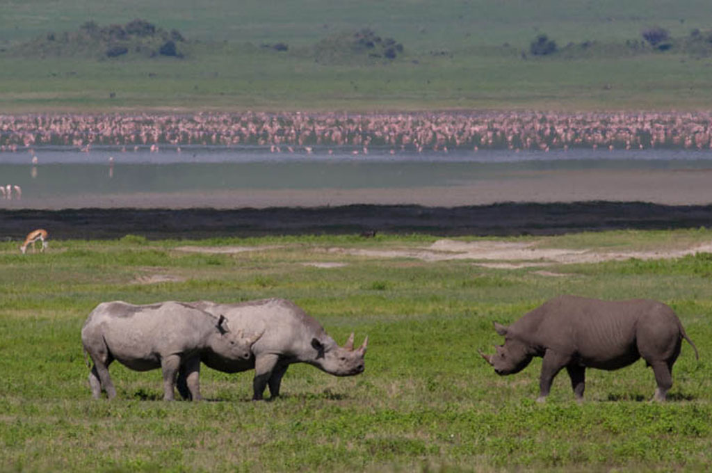 Ngorongoro Without the Crowds: What It&rsquo;s Like to Have the Crater to Yourself