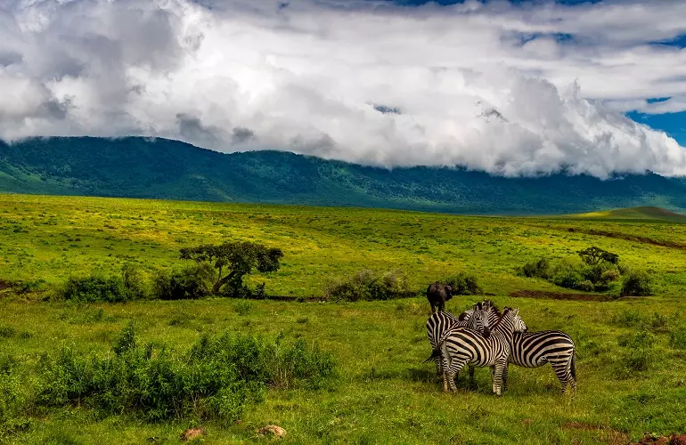 Ngorongoro Without the Crowds: What It&rsquo;s Like to Have the Crater to Yourself