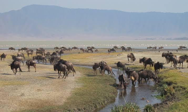 Ngorongoro Without the Crowds: What It&rsquo;s Like to Have the Crater to Yourself