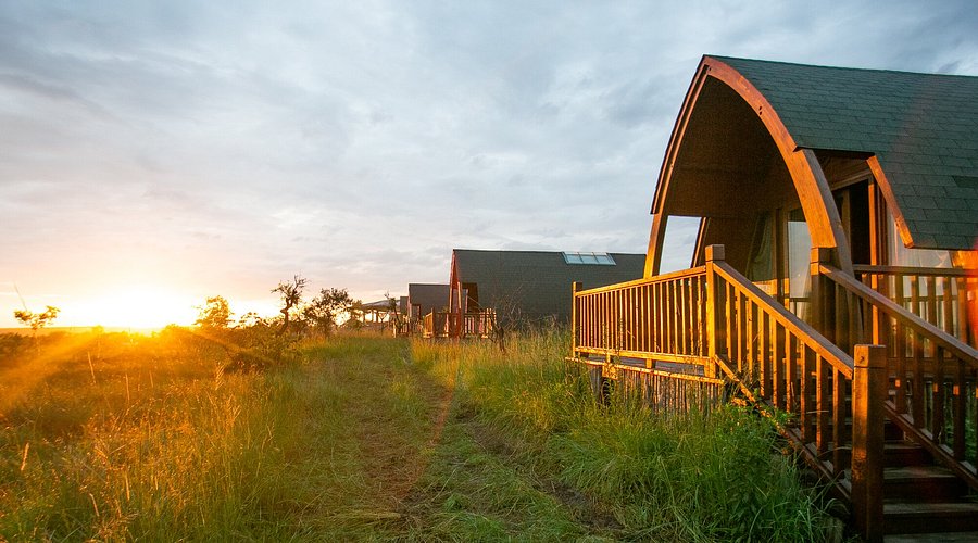 Great Migration Safari 2026: Following the Herds Through June, July, and August Great Migration Safari 2026: Following the Herds Through June, July, and August