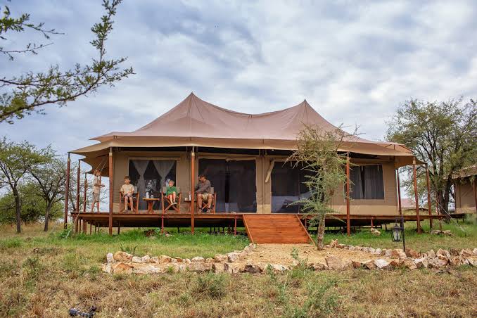 Great Migration 2026: Where to See the Wildebeest Herds in June, July and August