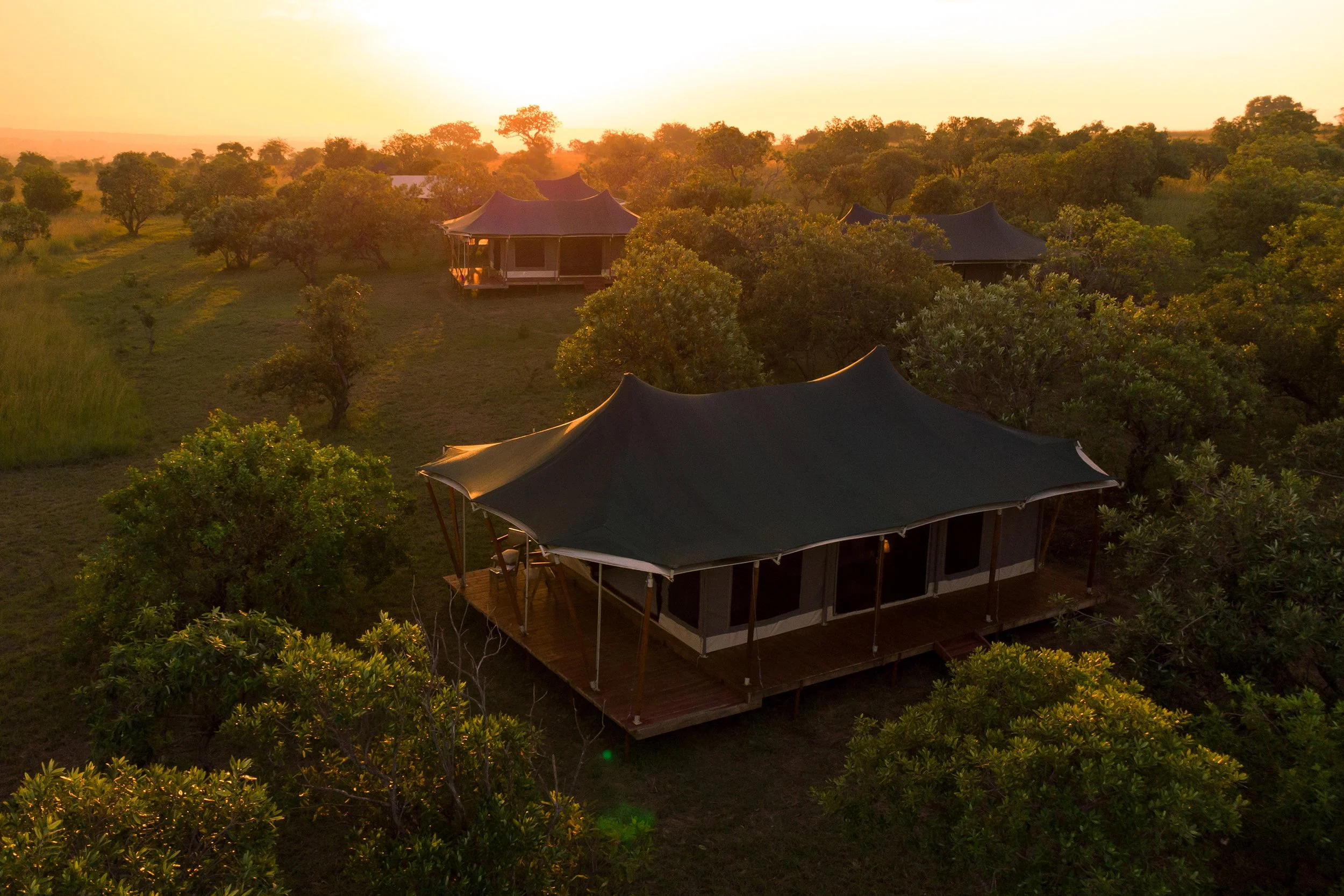 Cheap Serengeti Migration (Northern Circuit) Safari from Arusha