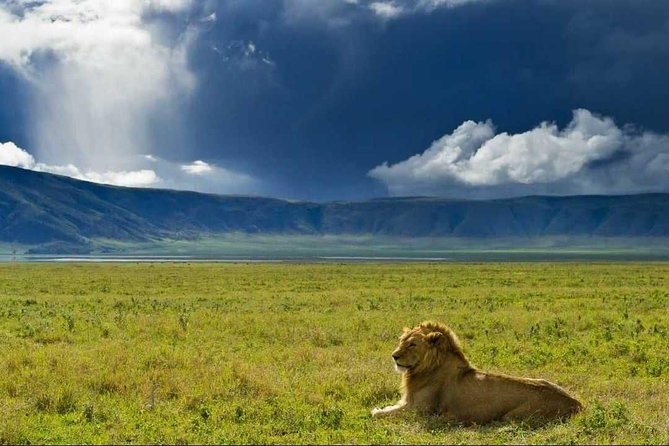 Budget Ngorongoro Crater Safari from Arusha