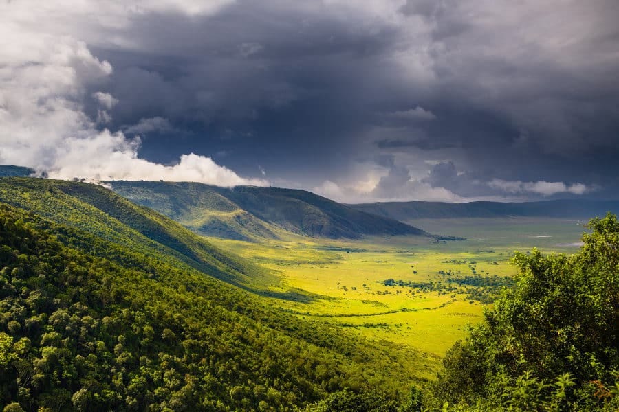 Affordable Tanzania Safari Packages