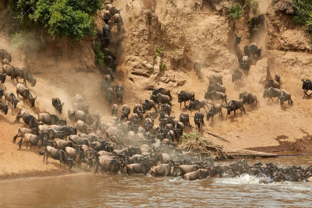 Best Local Tour Operator in Arusha and Moshi, Tanzania