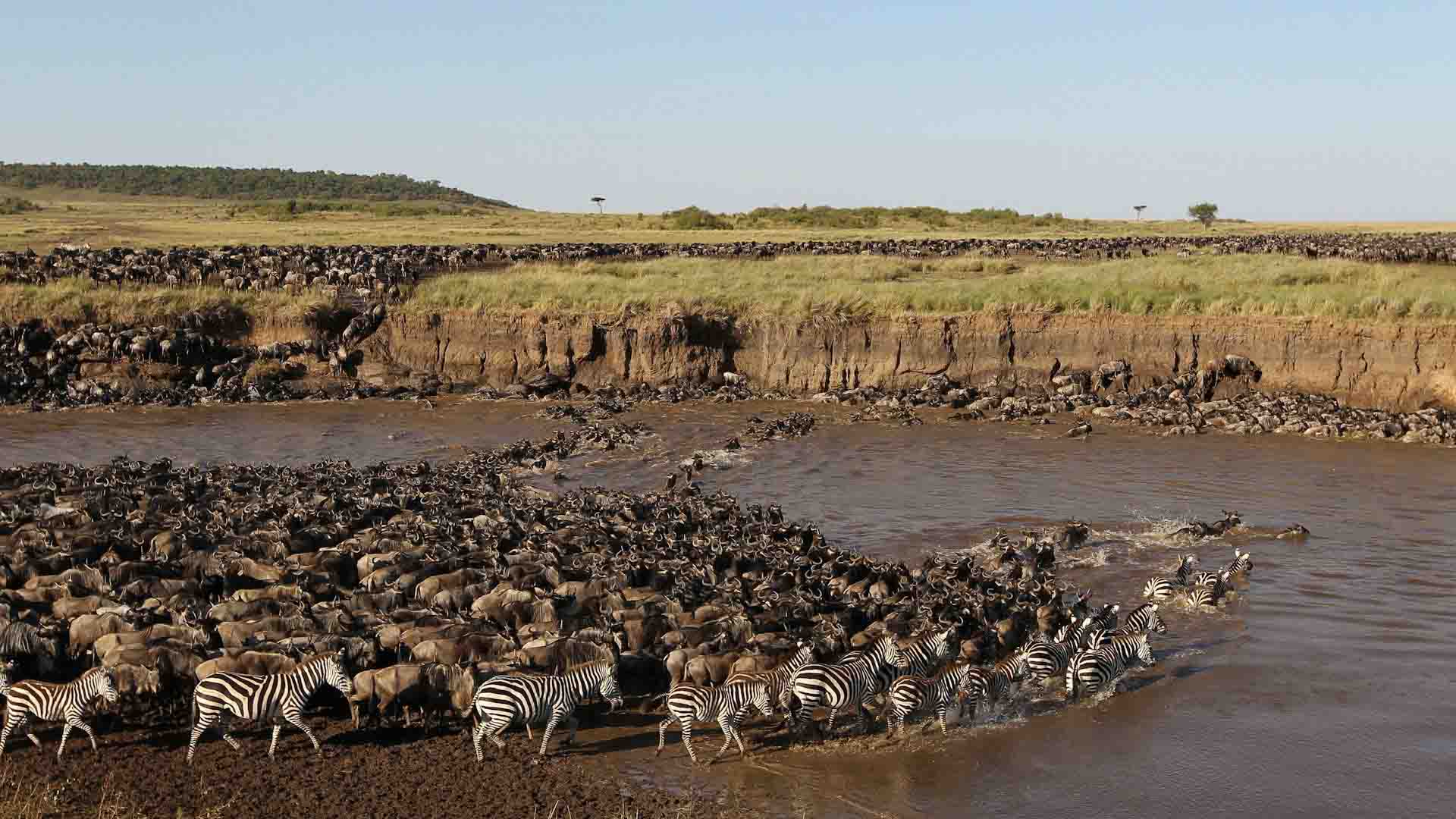 Tanzania Safari Cost from Arusha
