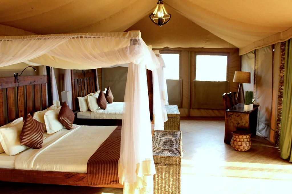 Four Days Serengeti Safari from Arusha