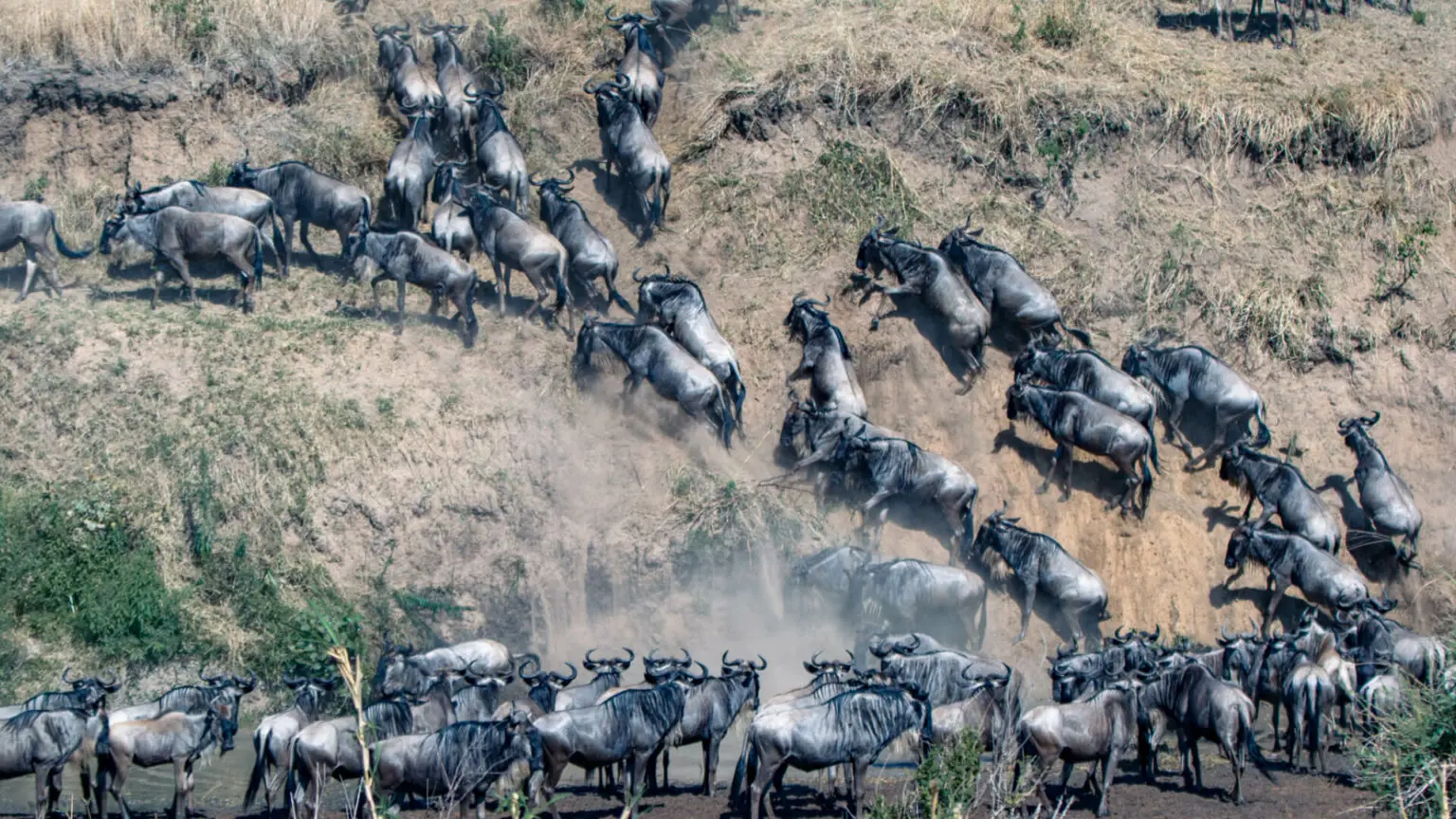 Best 5 Days Great Migration Safari Tanzania | July&ndash;August