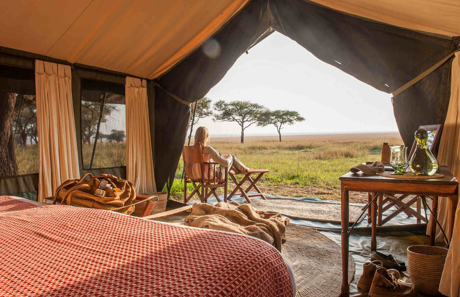 How Much Does Serengeti Safari Cost? A Complete Tanzania Safari Price Guide