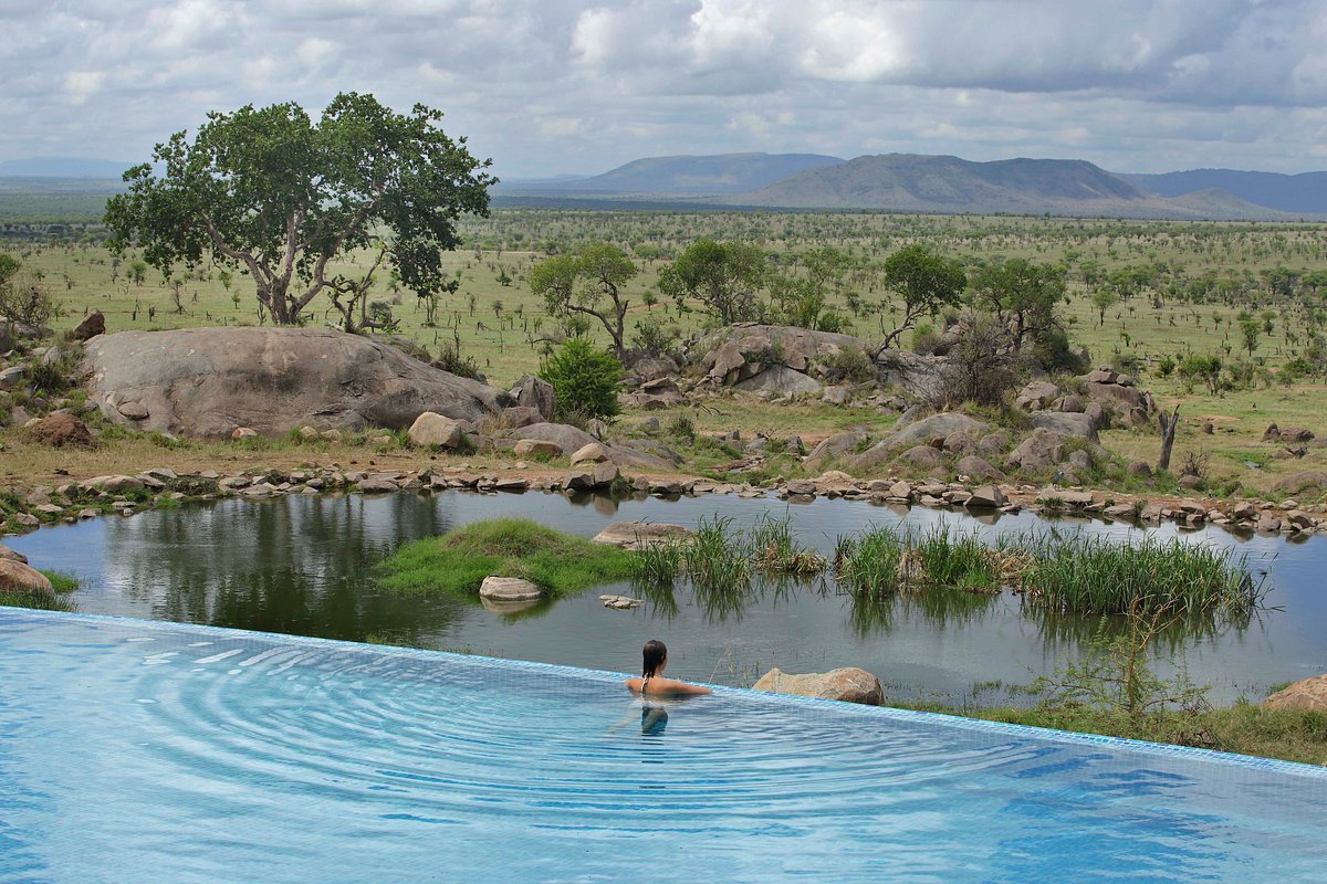 Tanzania Serengeti Safari: Discover Africa&rsquo;s Most Iconic Wildlife Destination