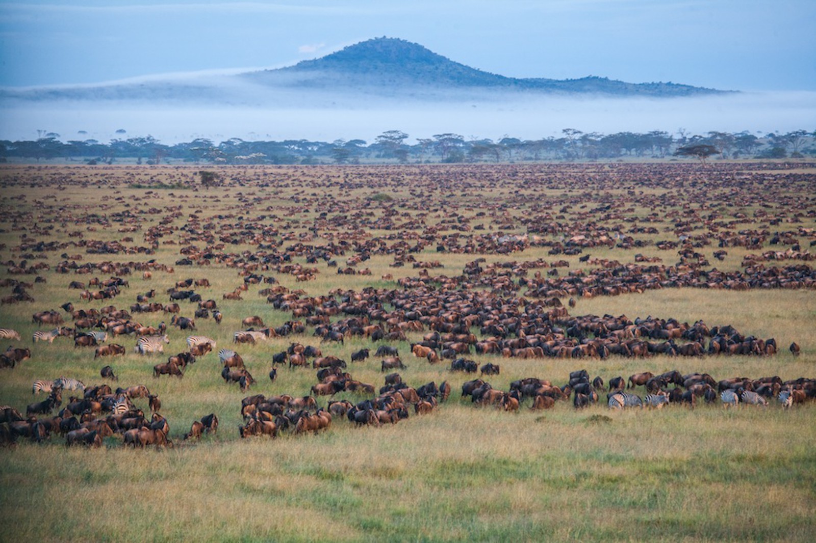 Tanzania Serengeti Safari: Discover Africa&rsquo;s Most Iconic Wildlife Destination