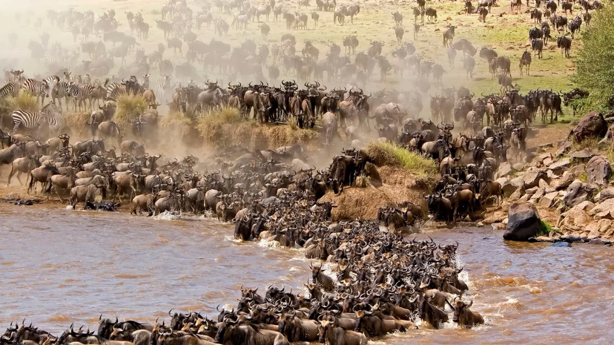 Best 5 Days Great Migration Safari Tanzania | July&ndash;August