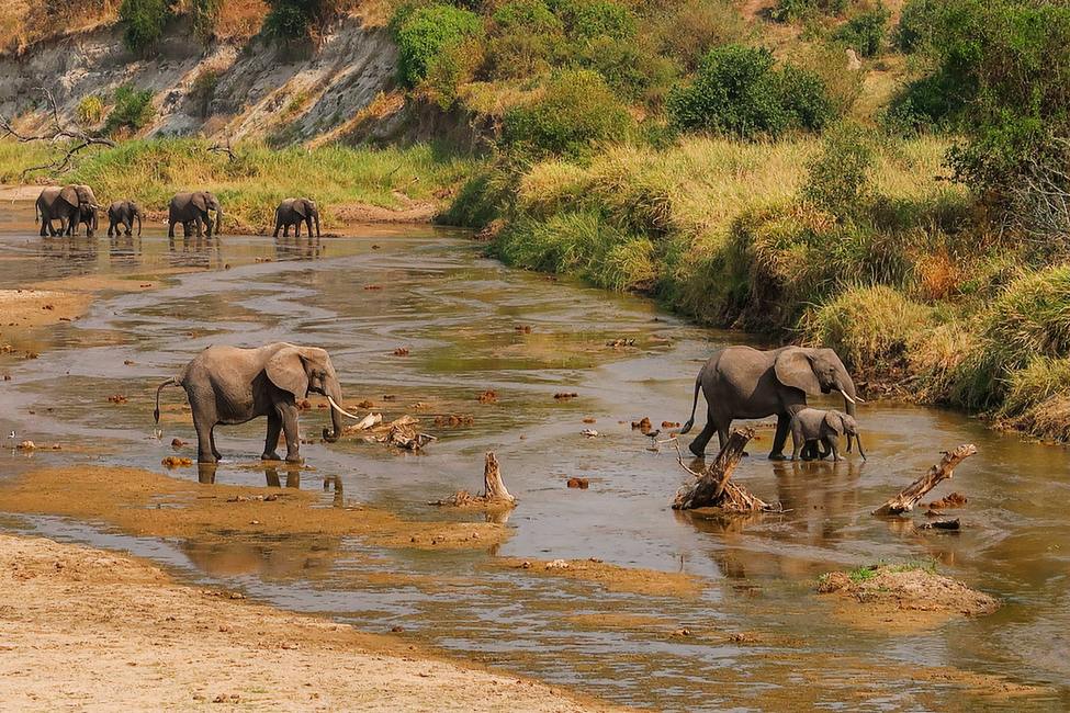Tarangire Serengeti Ngorongoro Safari 2026/2027