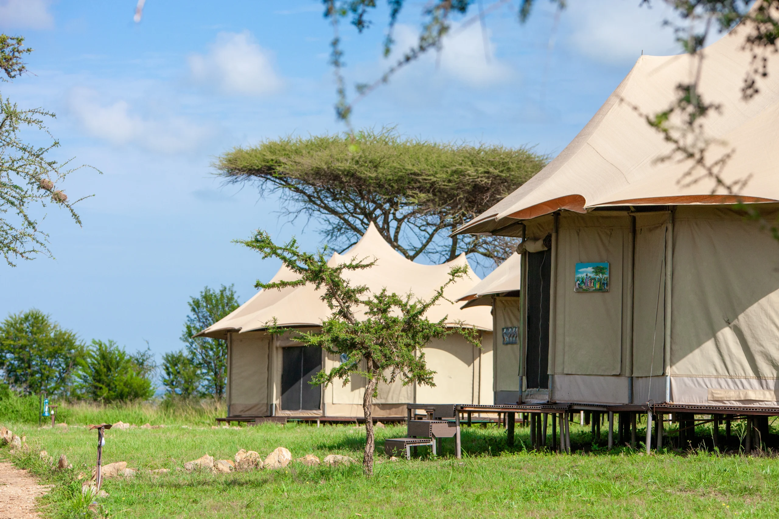 From Central Serengeti to the Mara River: Tracking the Great Migration in 2026