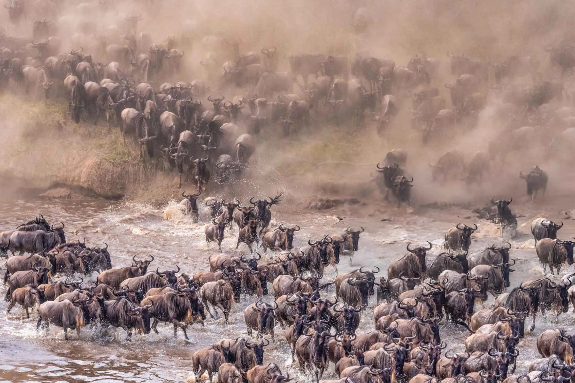 From Central Serengeti to the Mara River: Tracking the Great Migration in 2026