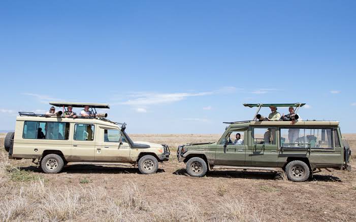 Best Tanzania Group Joining Safari