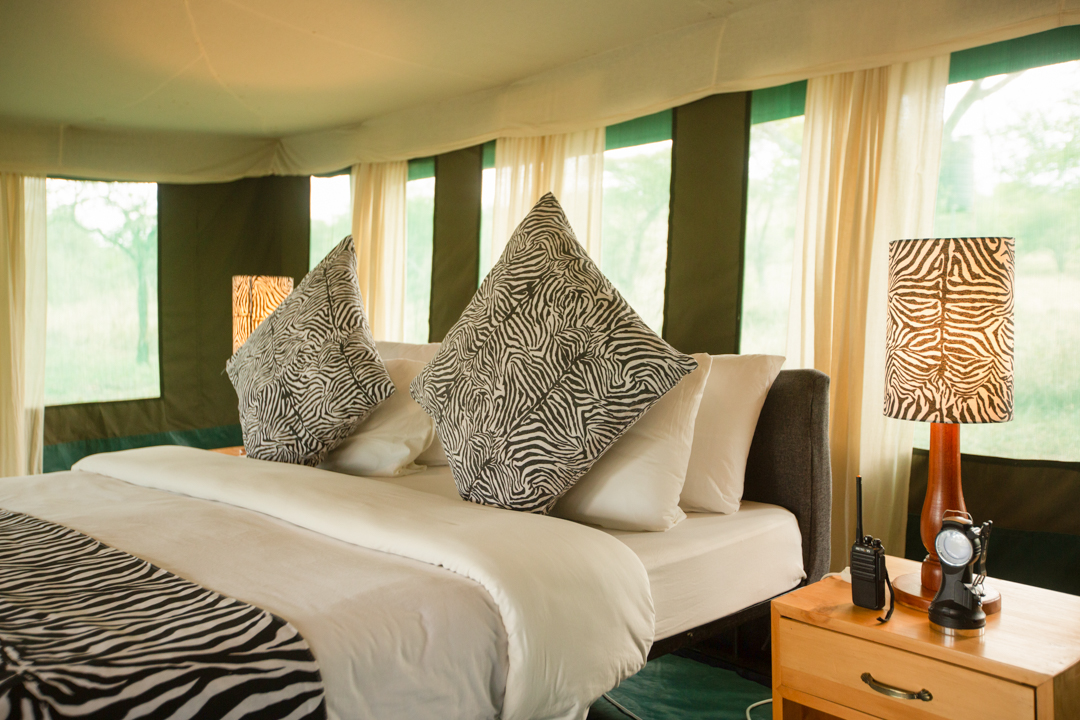 Best Tanzania Group Joining Safari