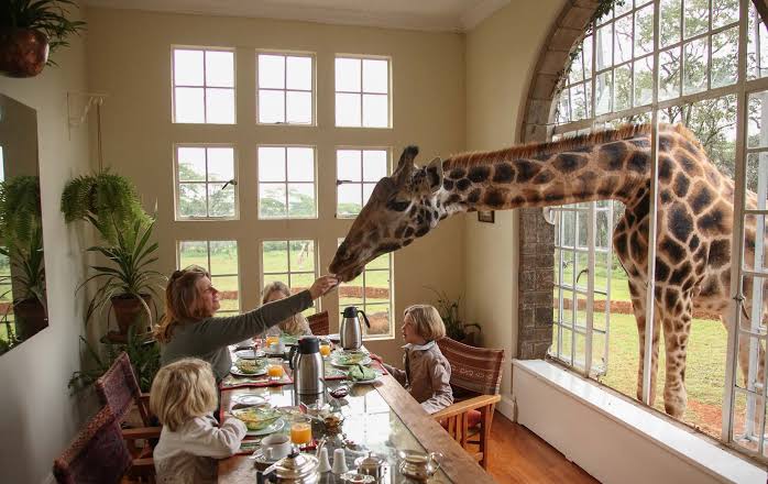 Luxury Tanzania Safari Early Booking 2026/2027
