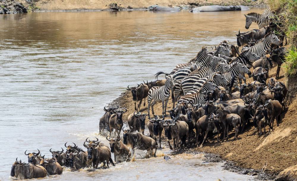 Luxury Tanzania Safari Early Booking 2026/2027
